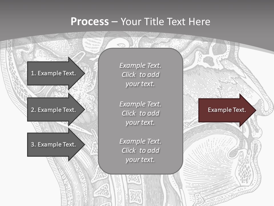 Mental Lobes Vintage PowerPoint Template