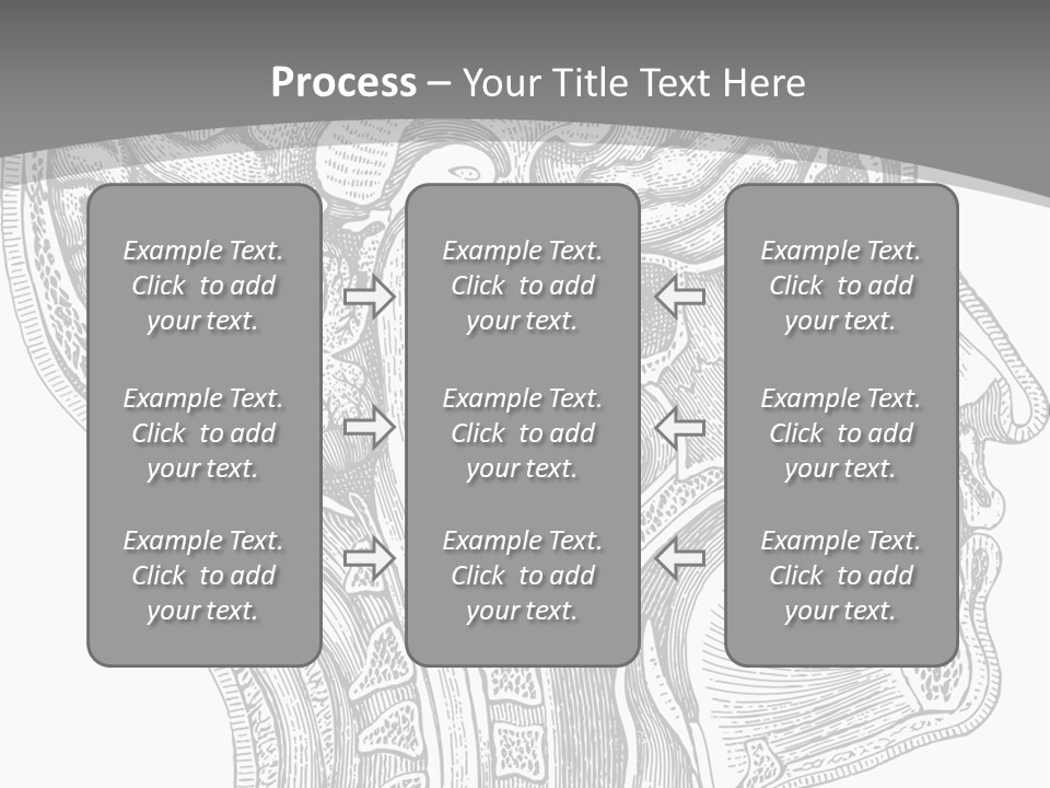 Mental Lobes Vintage PowerPoint Template