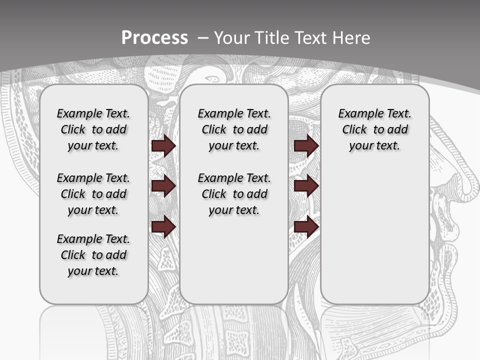 Mental Lobes Vintage PowerPoint Template