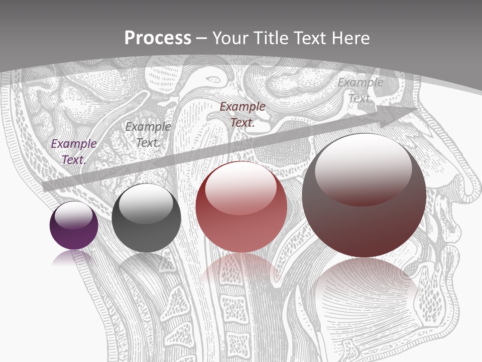 Mental Lobes Vintage PowerPoint Template