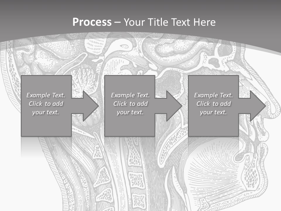 Mental Lobes Vintage PowerPoint Template