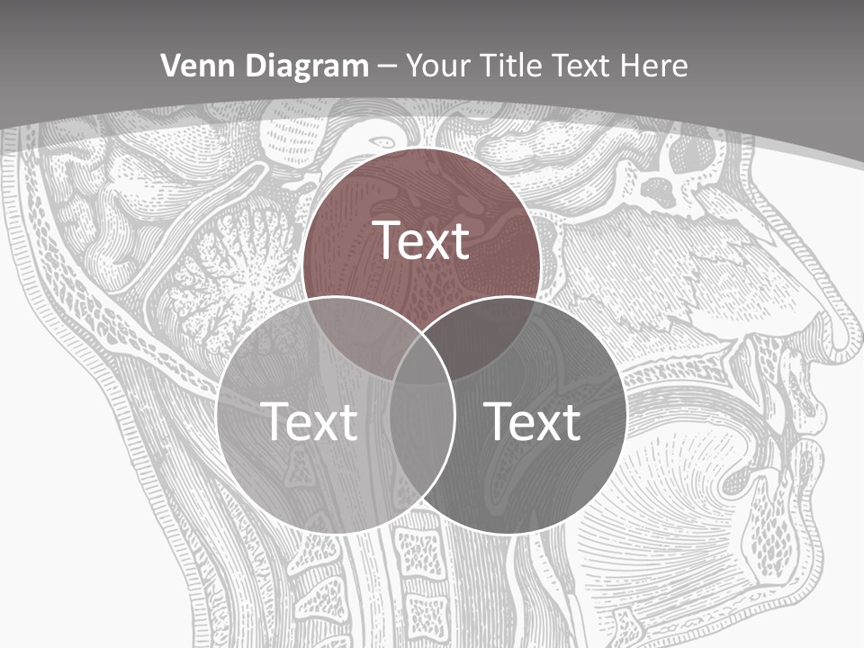 Mental Lobes Vintage PowerPoint Template