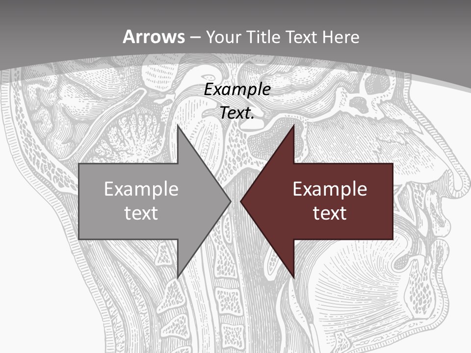 Mental Lobes Vintage PowerPoint Template