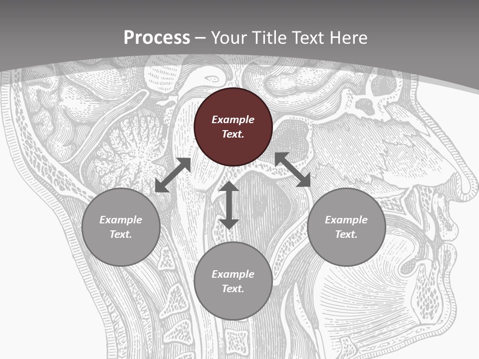 Mental Lobes Vintage PowerPoint Template