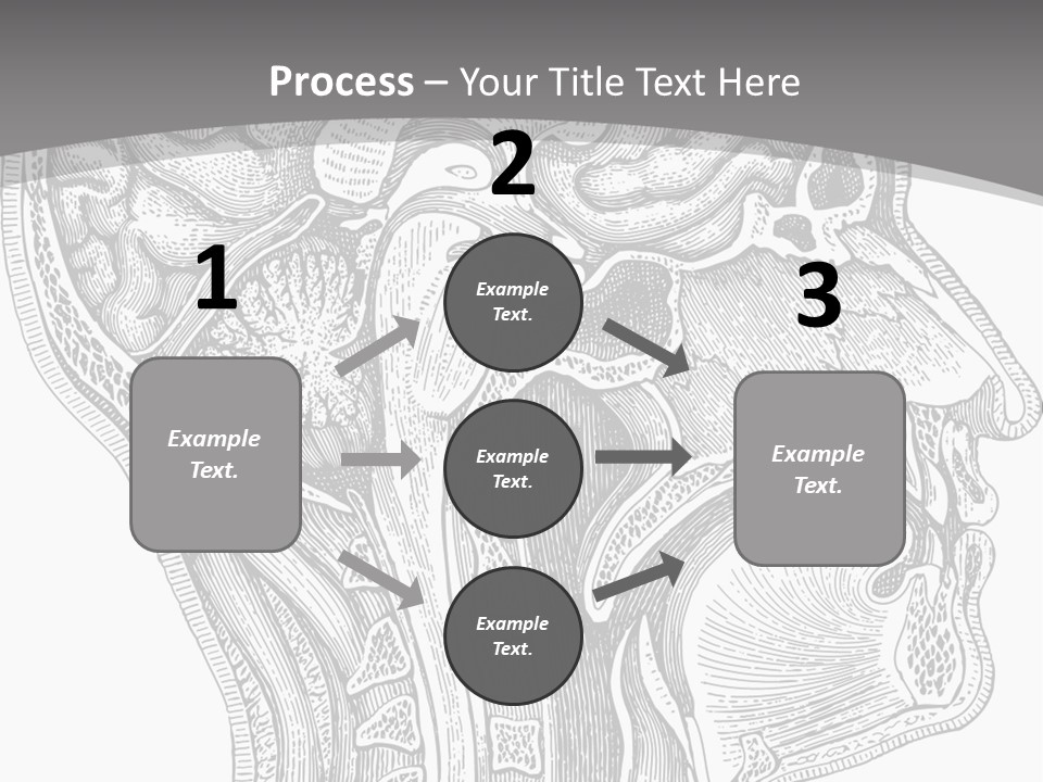 Mental Lobes Vintage PowerPoint Template
