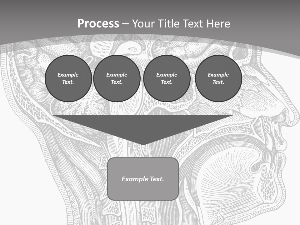 Mental Lobes Vintage PowerPoint Template