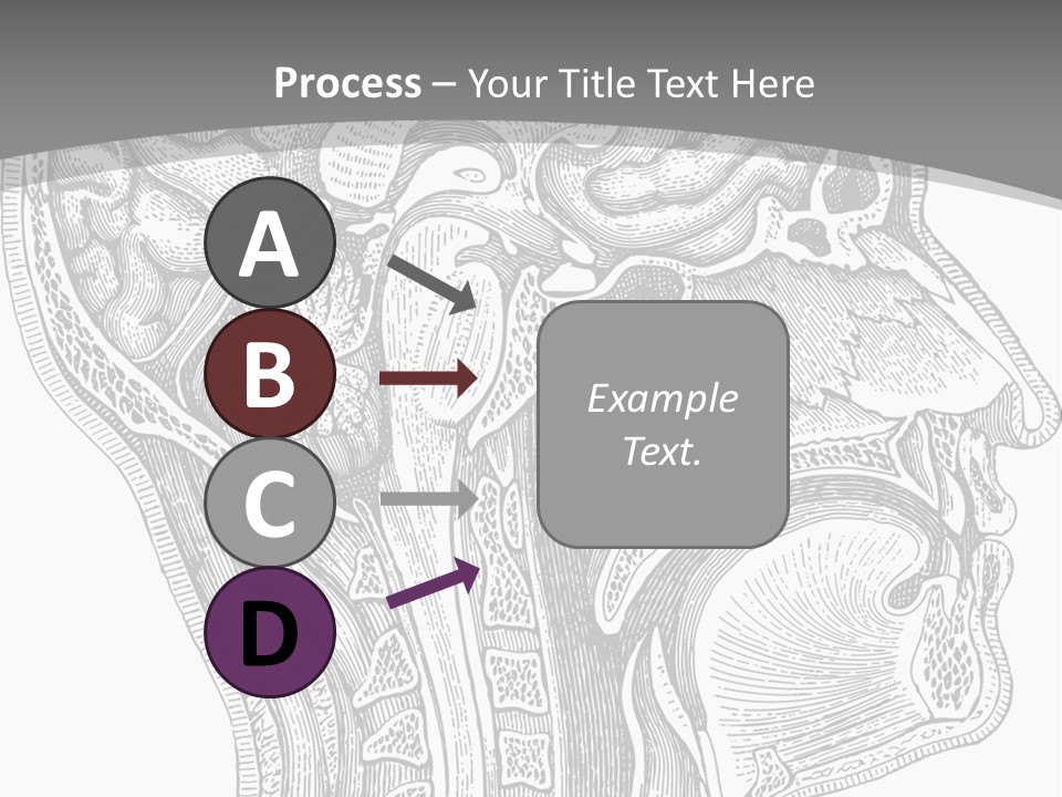 Mental Lobes Vintage PowerPoint Template