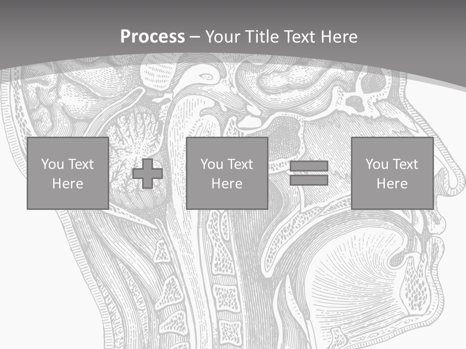 Mental Lobes Vintage PowerPoint Template
