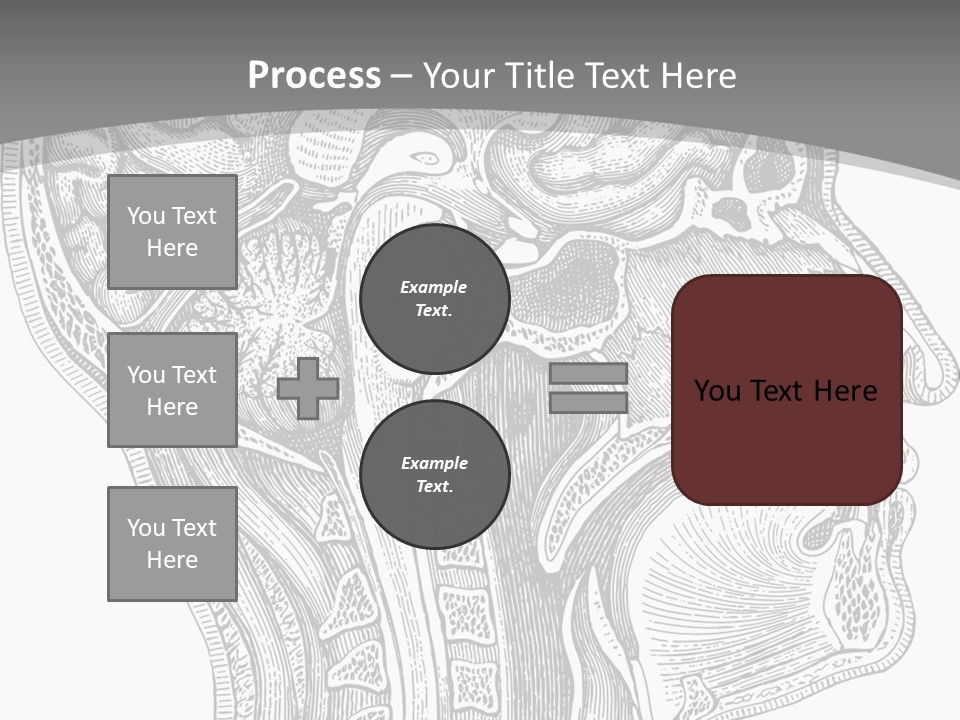 Mental Lobes Vintage PowerPoint Template