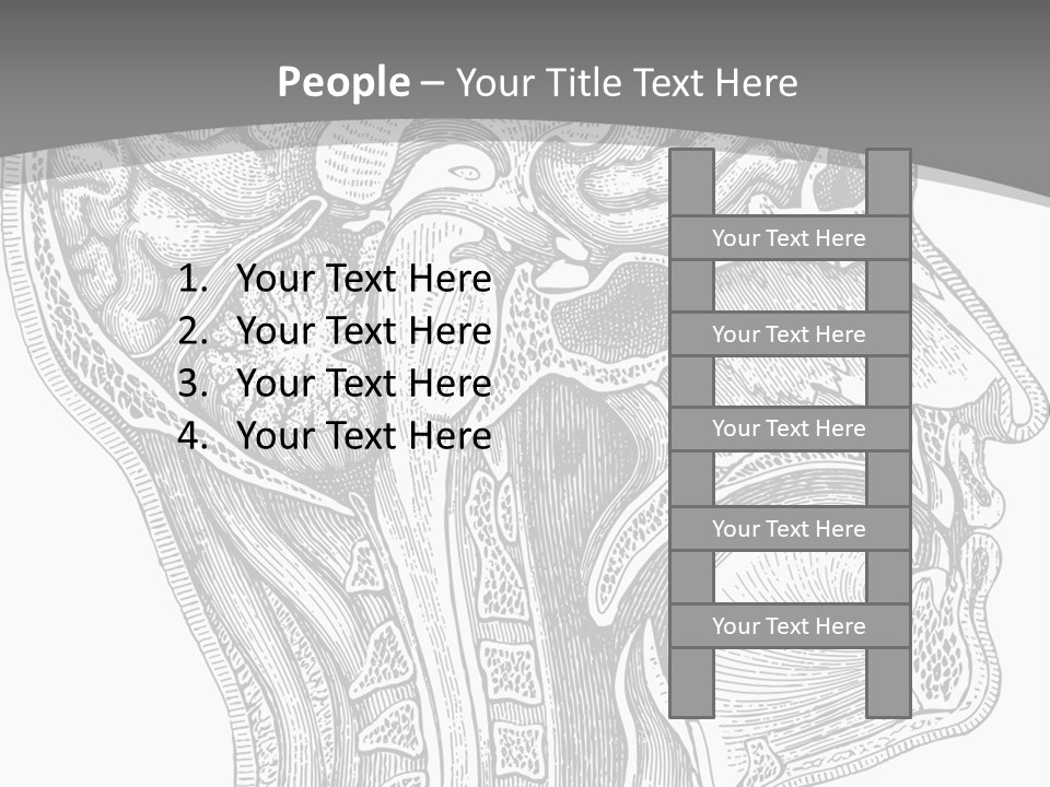 Mental Lobes Vintage PowerPoint Template