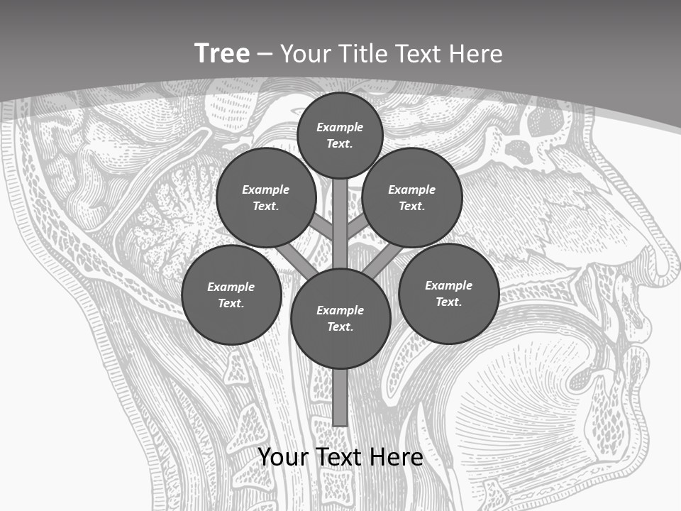 Mental Lobes Vintage PowerPoint Template
