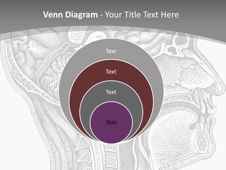 Mental Lobes Vintage PowerPoint Template