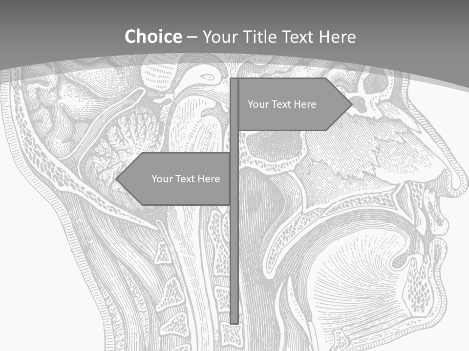 Mental Lobes Vintage PowerPoint Template