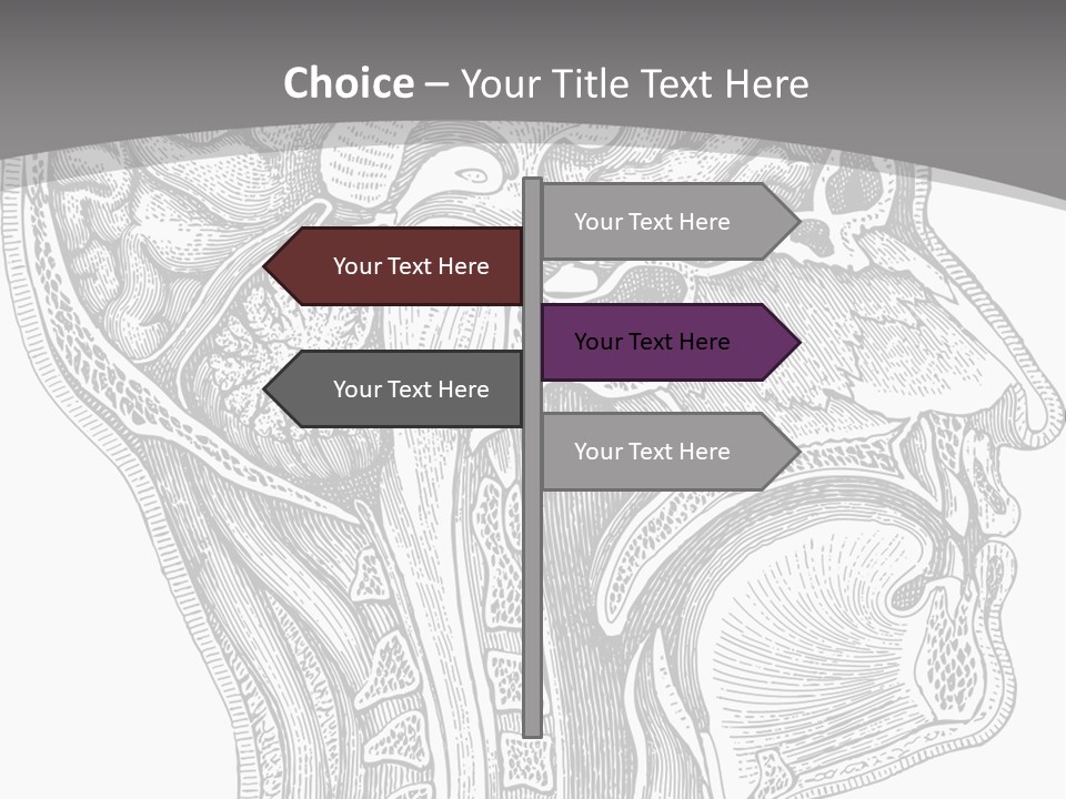 Mental Lobes Vintage PowerPoint Template