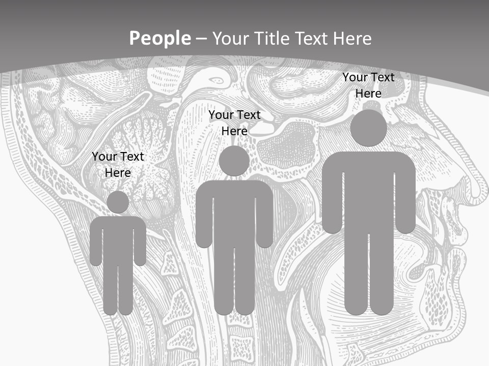 Mental Lobes Vintage PowerPoint Template