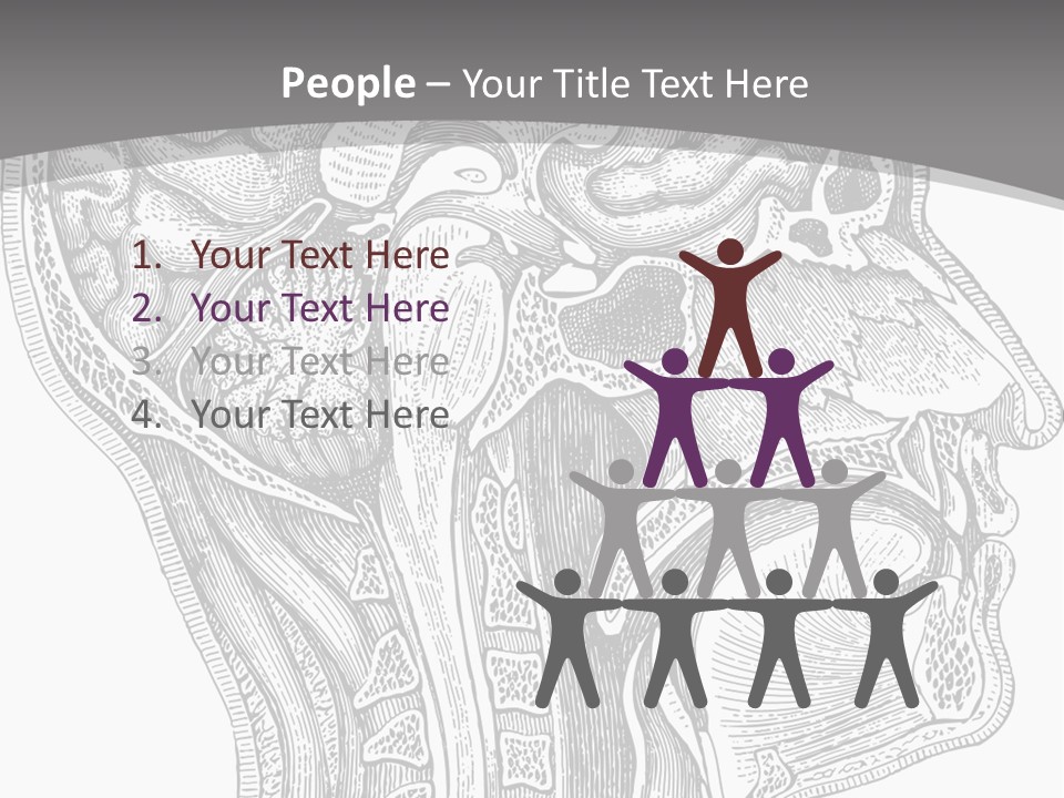 Mental Lobes Vintage PowerPoint Template