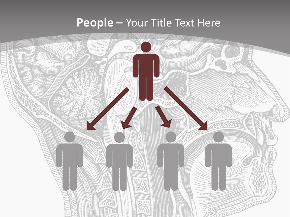 Mental Lobes Vintage PowerPoint Template