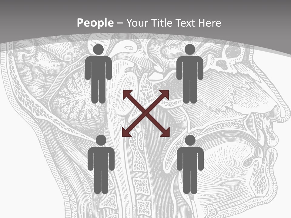 Mental Lobes Vintage PowerPoint Template