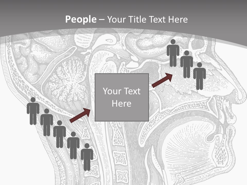 Mental Lobes Vintage PowerPoint Template