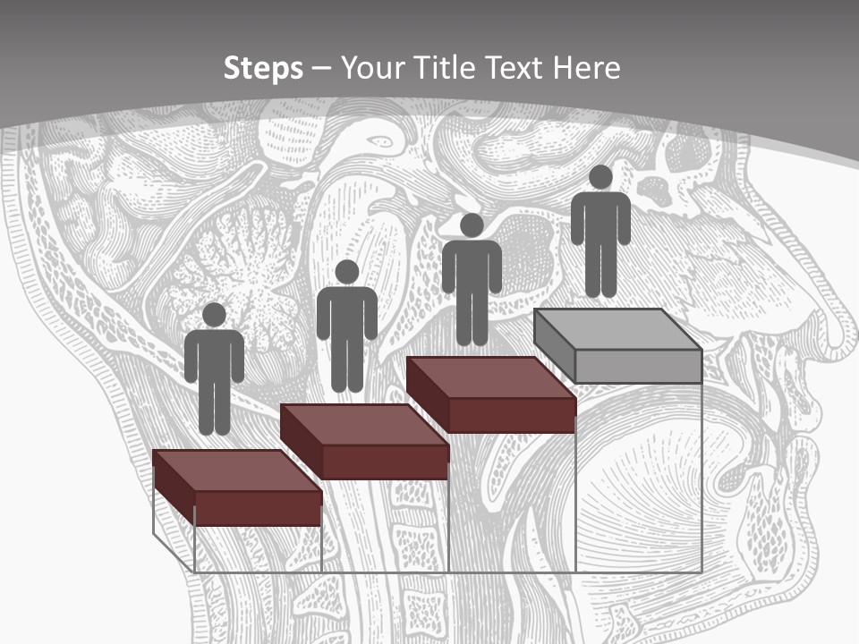 Mental Lobes Vintage PowerPoint Template