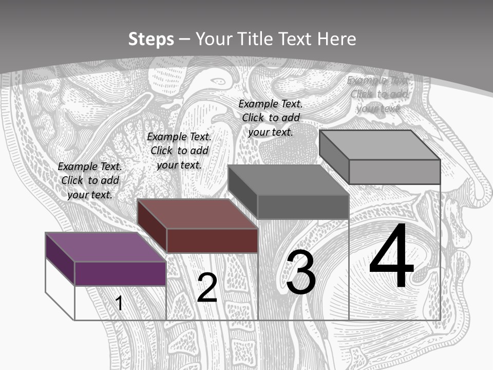 Mental Lobes Vintage PowerPoint Template