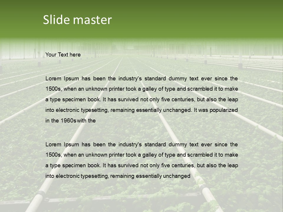 Glasshouse Plant Rows PowerPoint Template