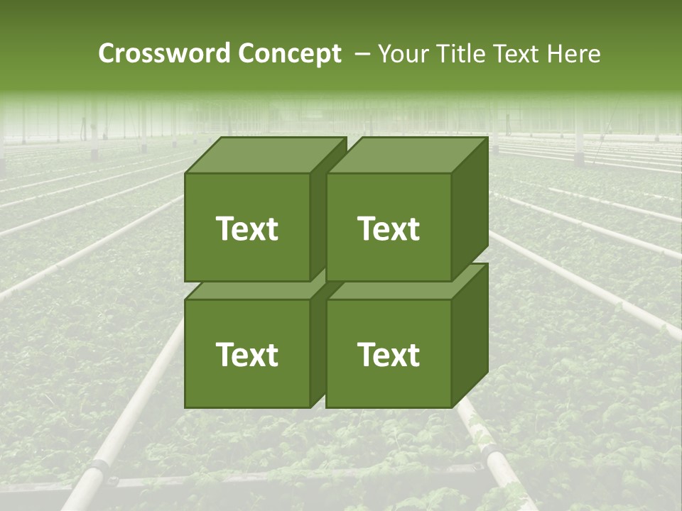 Glasshouse Plant Rows PowerPoint Template