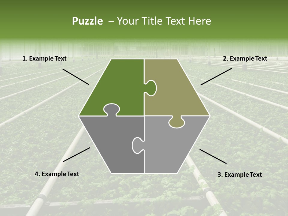 Glasshouse Plant Rows PowerPoint Template