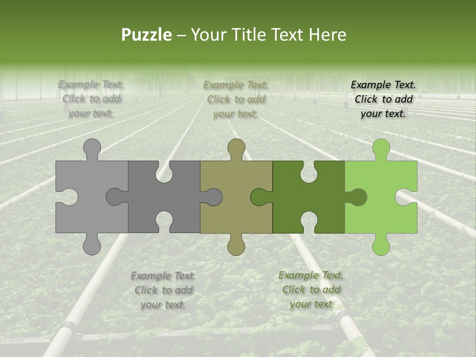 Glasshouse Plant Rows PowerPoint Template