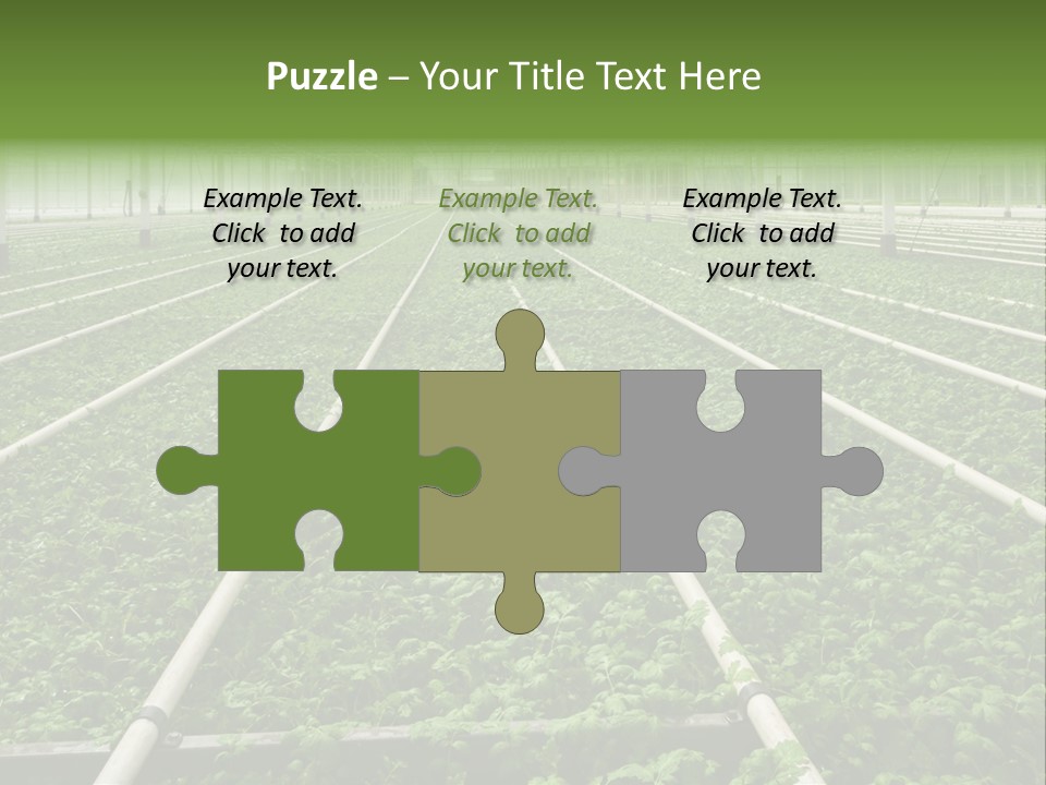 Glasshouse Plant Rows PowerPoint Template