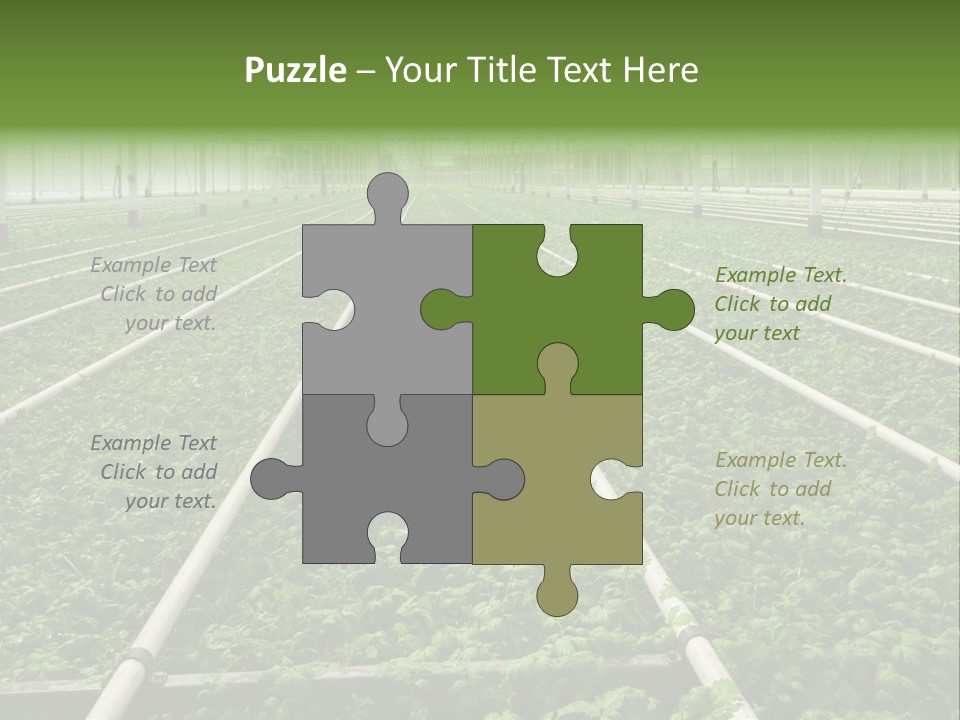 Glasshouse Plant Rows PowerPoint Template