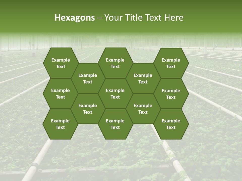 Glasshouse Plant Rows PowerPoint Template