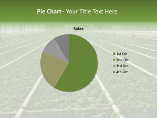 Glasshouse Plant Rows PowerPoint Template