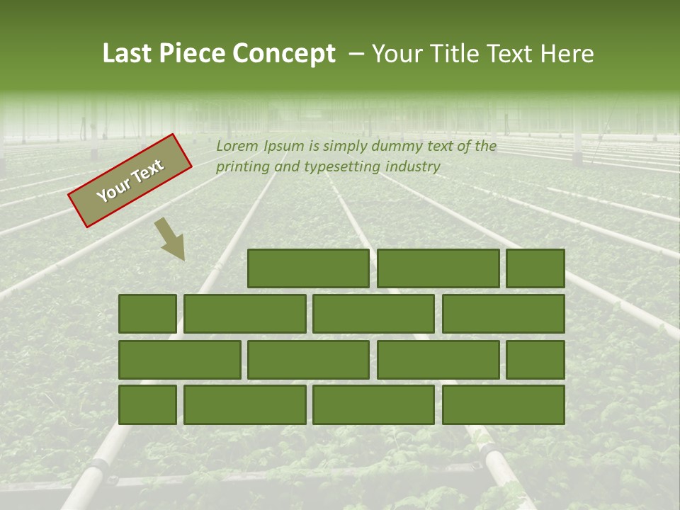 Glasshouse Plant Rows PowerPoint Template
