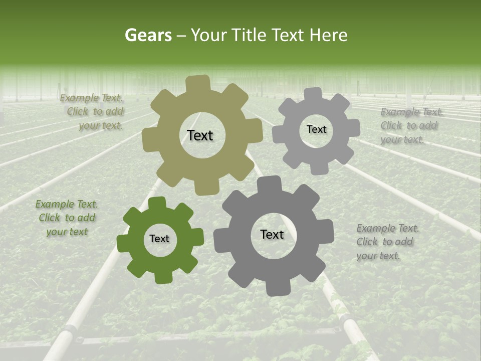 Glasshouse Plant Rows PowerPoint Template