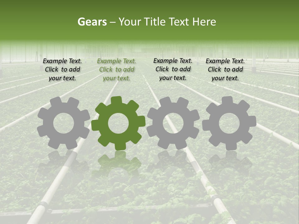 Glasshouse Plant Rows PowerPoint Template