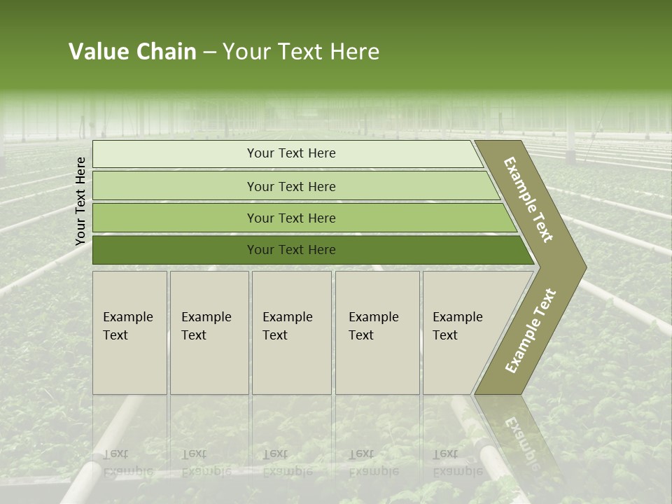 Glasshouse Plant Rows PowerPoint Template