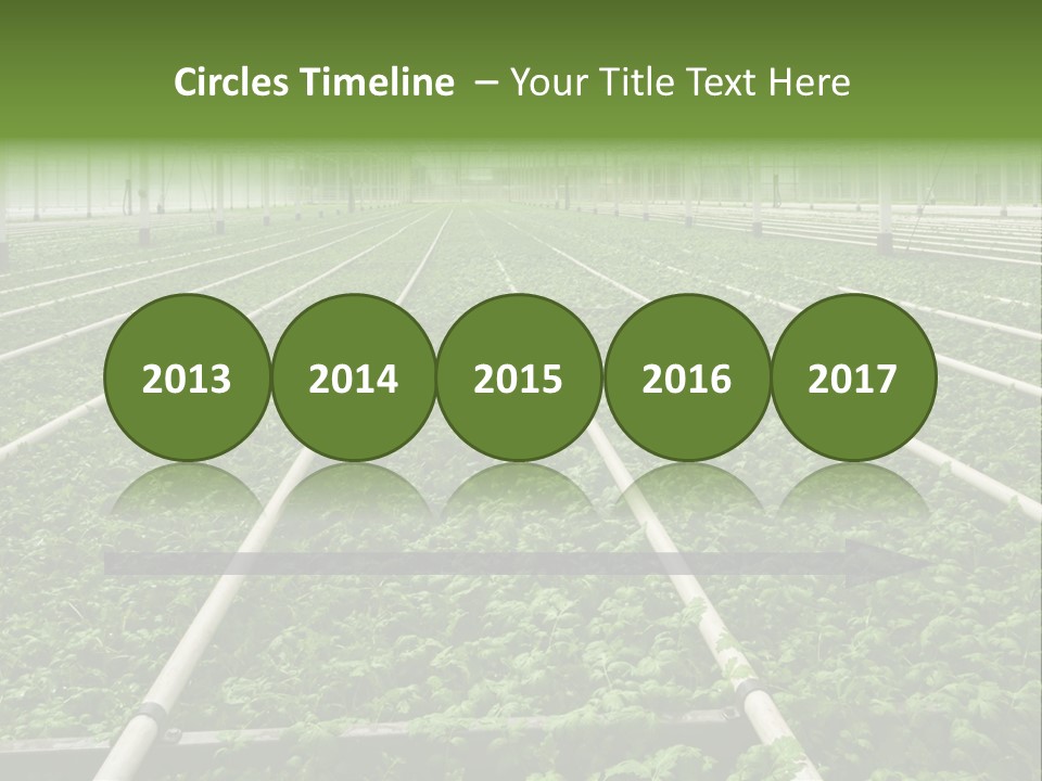 Glasshouse Plant Rows PowerPoint Template