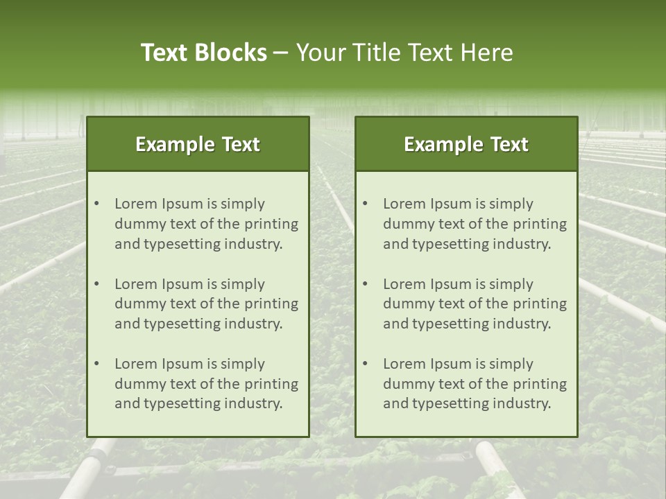 Glasshouse Plant Rows PowerPoint Template
