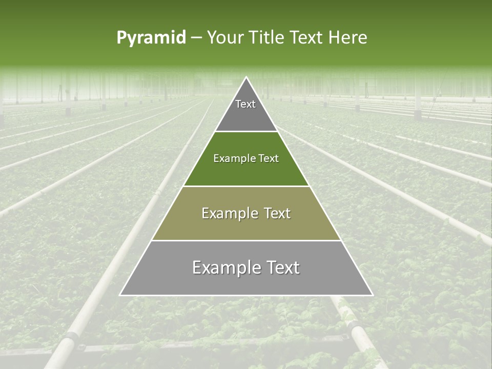 Glasshouse Plant Rows PowerPoint Template