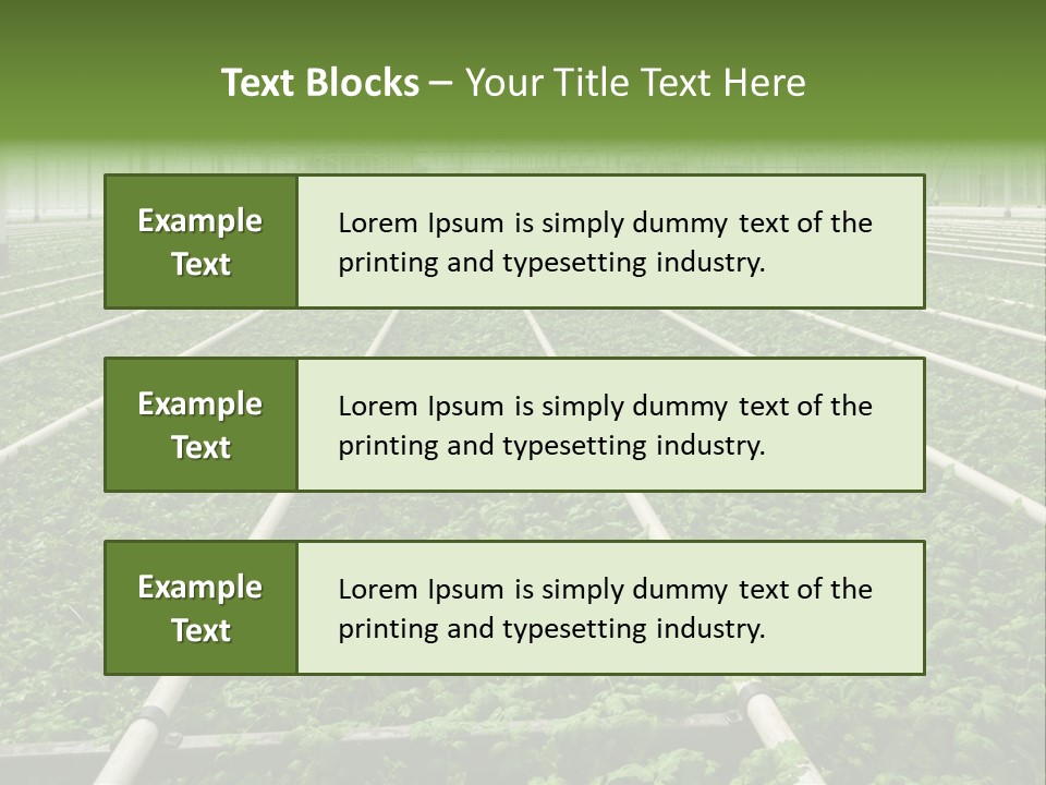Glasshouse Plant Rows PowerPoint Template