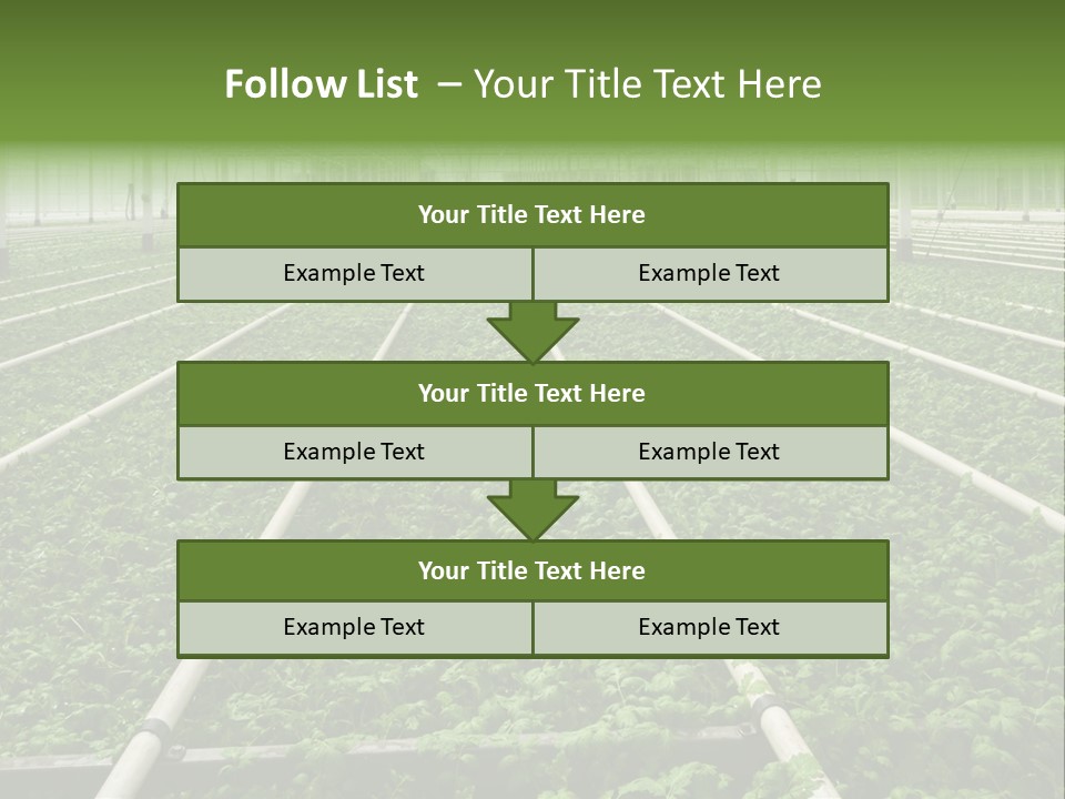 Glasshouse Plant Rows PowerPoint Template