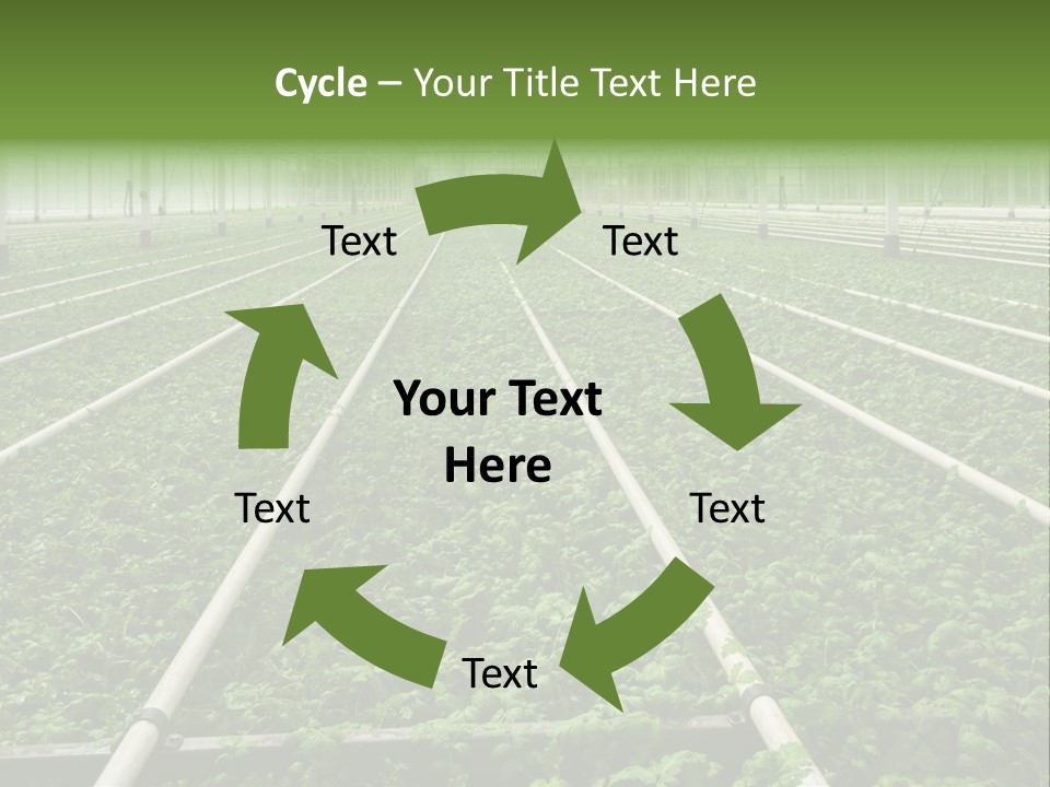 Glasshouse Plant Rows PowerPoint Template