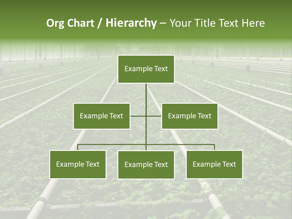 Glasshouse Plant Rows PowerPoint Template