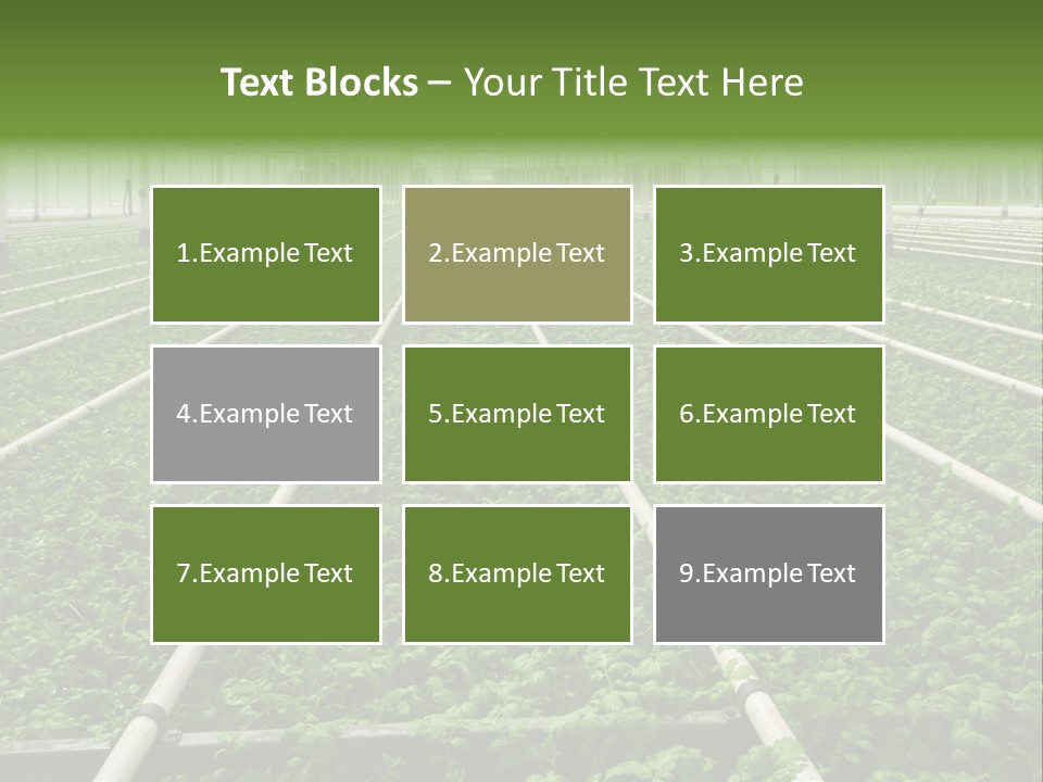 Glasshouse Plant Rows PowerPoint Template