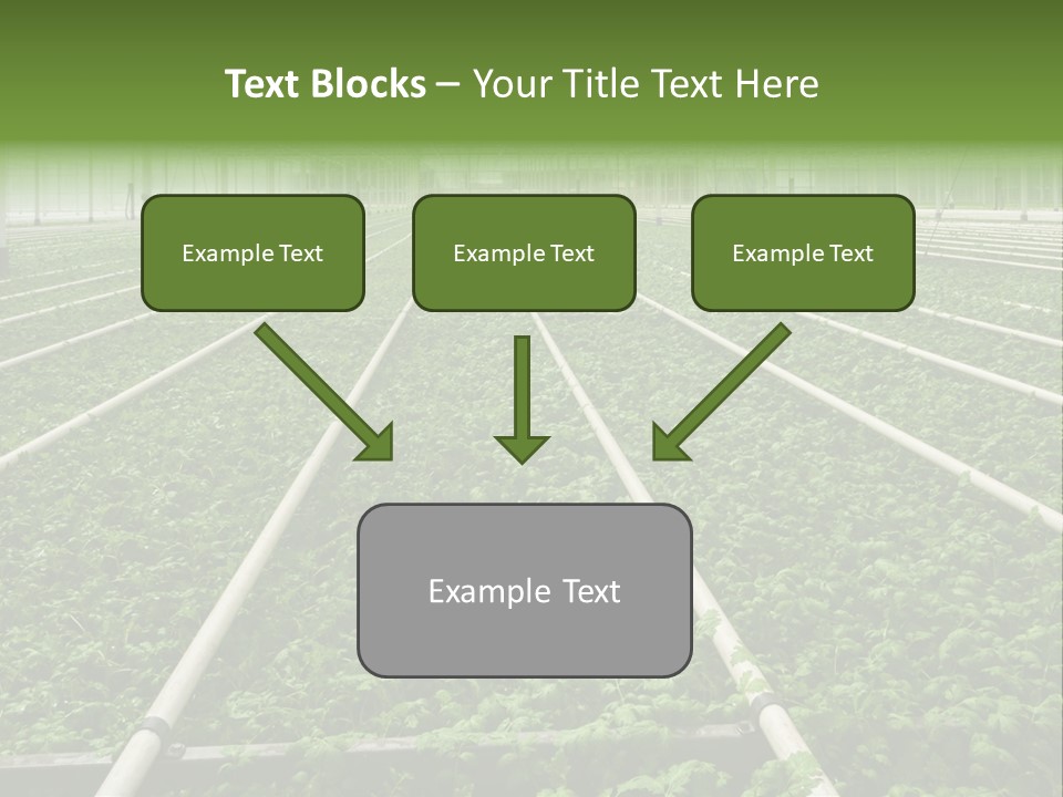 Glasshouse Plant Rows PowerPoint Template