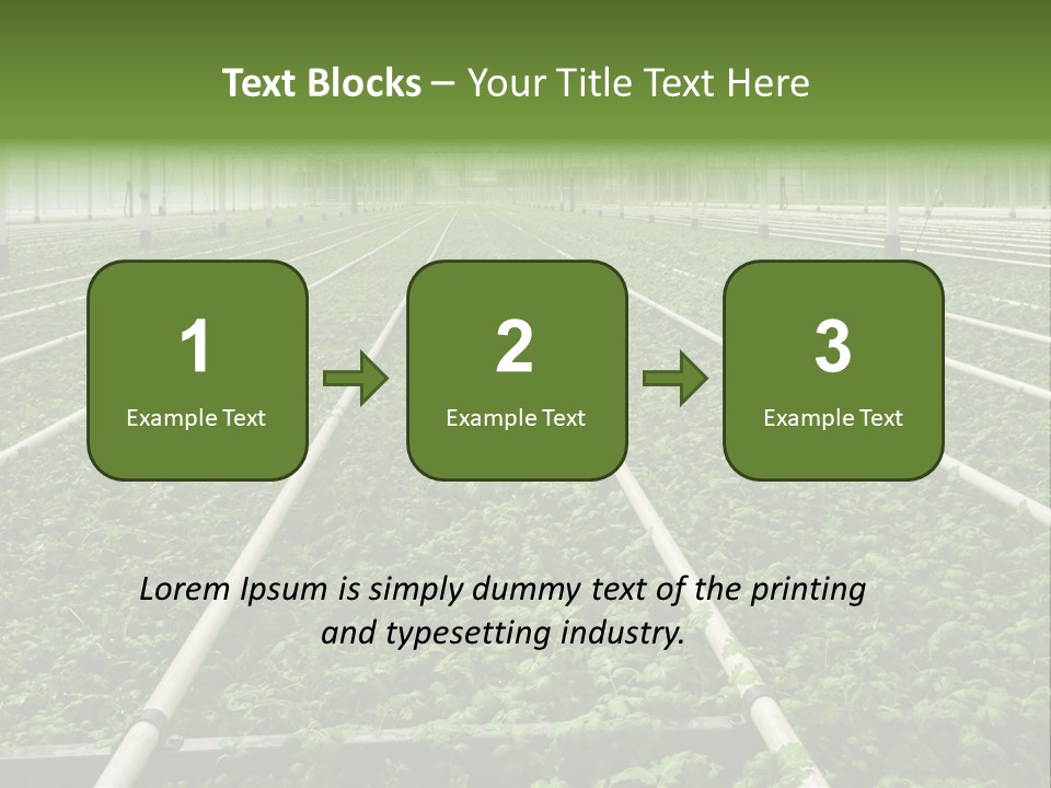 Glasshouse Plant Rows PowerPoint Template