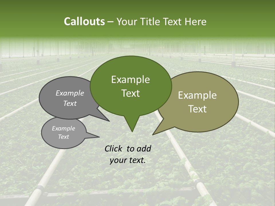 Glasshouse Plant Rows PowerPoint Template