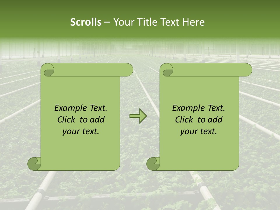 Glasshouse Plant Rows PowerPoint Template