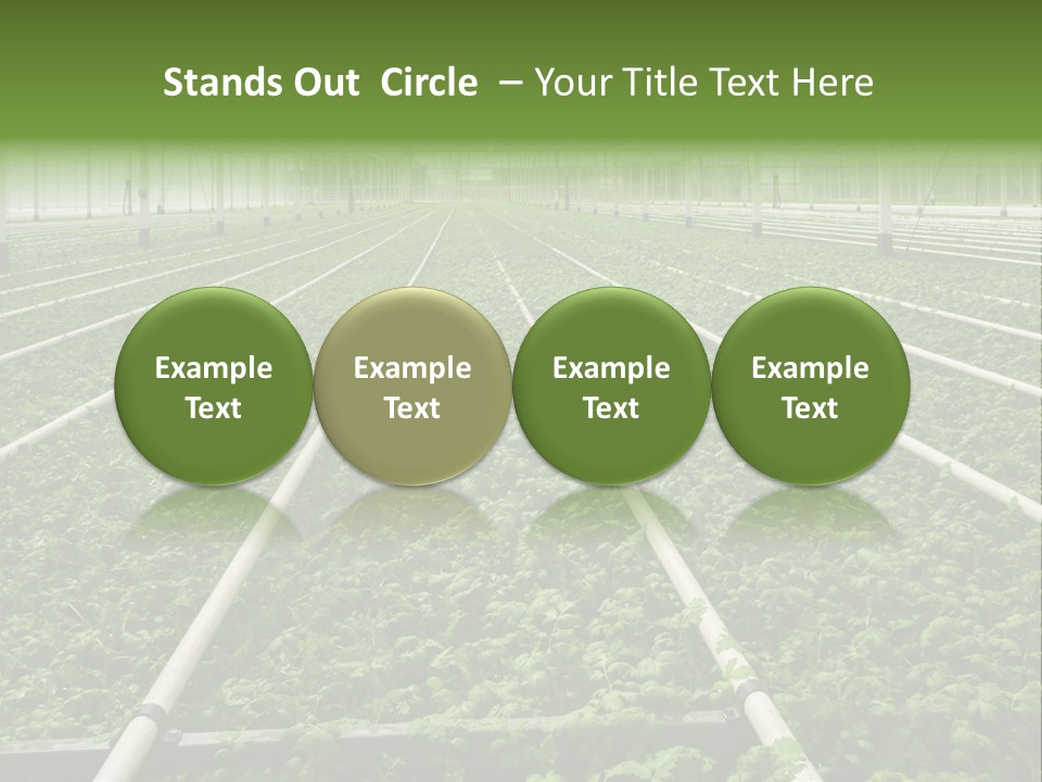 Glasshouse Plant Rows PowerPoint Template